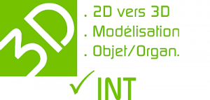 3D-INT Adaptation 2D/3D