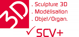 3D-SCV+ Sculpture-Modélisation